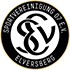 SV 07 Elversberg logo